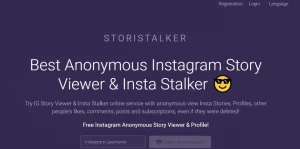 10 Best Instagram Story Viewer Platforms